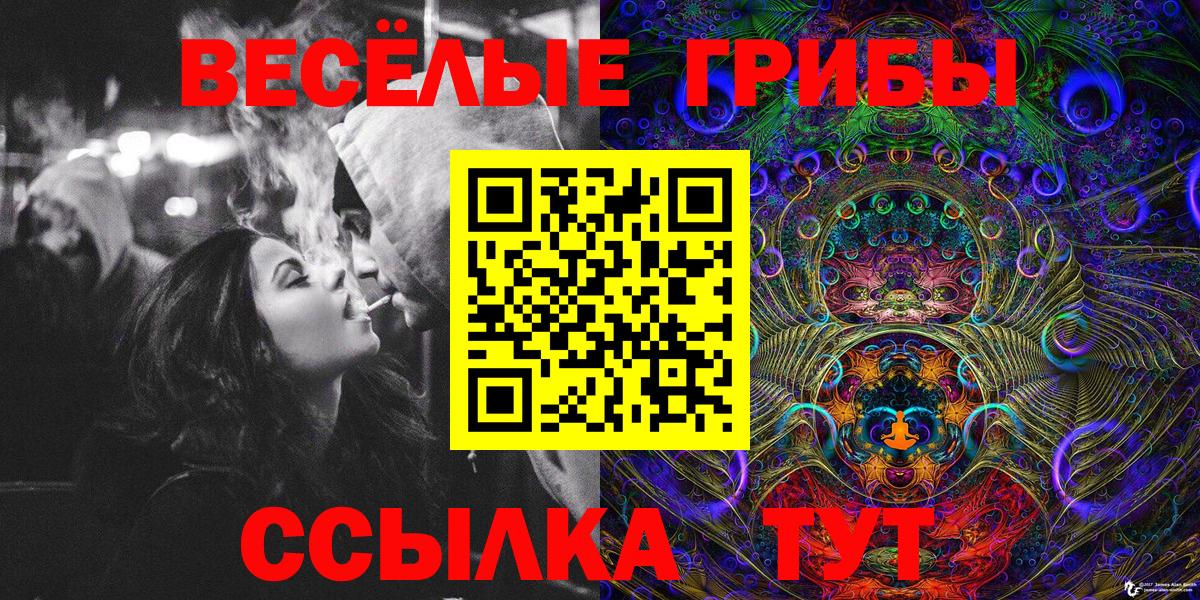 Чебаркуль  Галлюциногенные грибы Psilocybine cubensis  что такое наркотик  Вход с VPN 