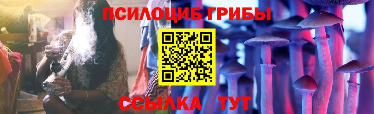 Галлюциногенные грибы прущие грибы Чебаркуль
